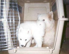 Can we share this crate?