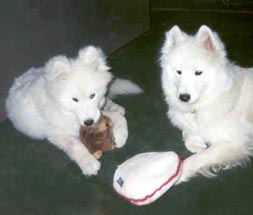 Slater (L) & Charlie (R)
