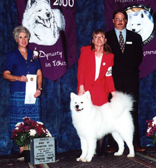 4th in BBE at SCA 2000 under breeder judge Lynette Blue